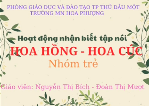 NBTN:Hoa hồng hoa cúc